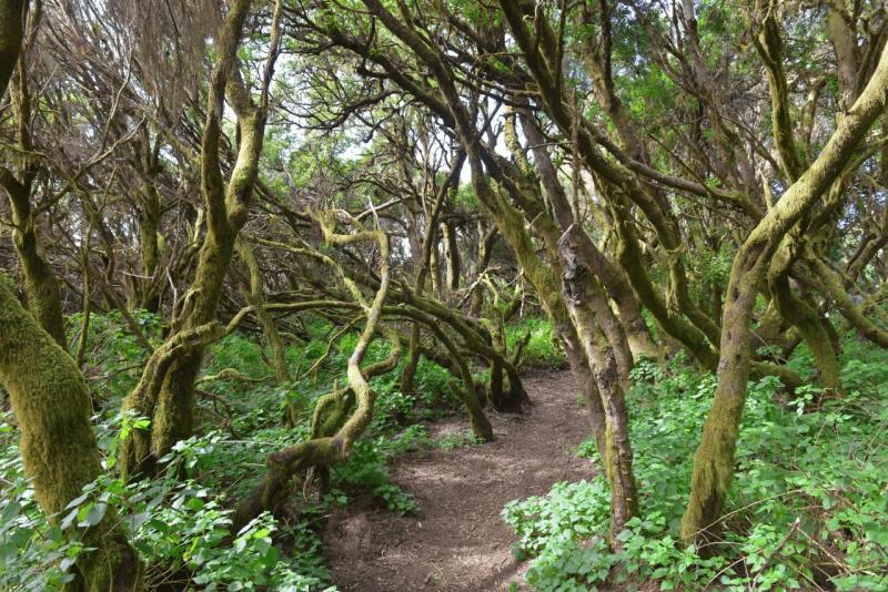 el_hiero_hike_llania_019
