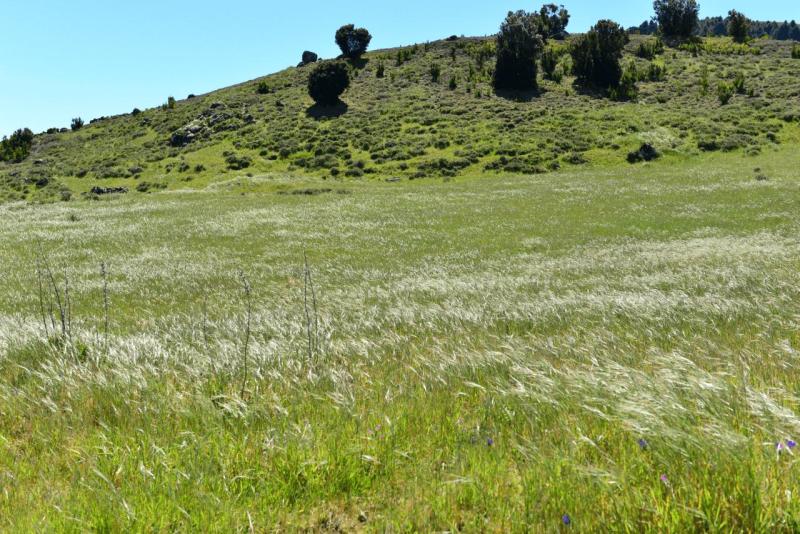 el_hiero_hike_llania_024