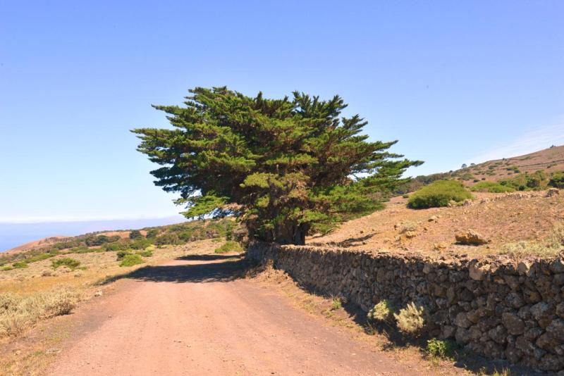 el_hiero_hike_el_sabinar_016