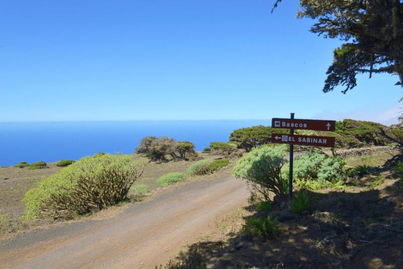 el_hiero_hike_el_sabinar_017