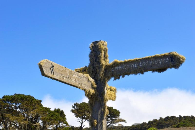 el_hiero_hike_el_sabinar_018