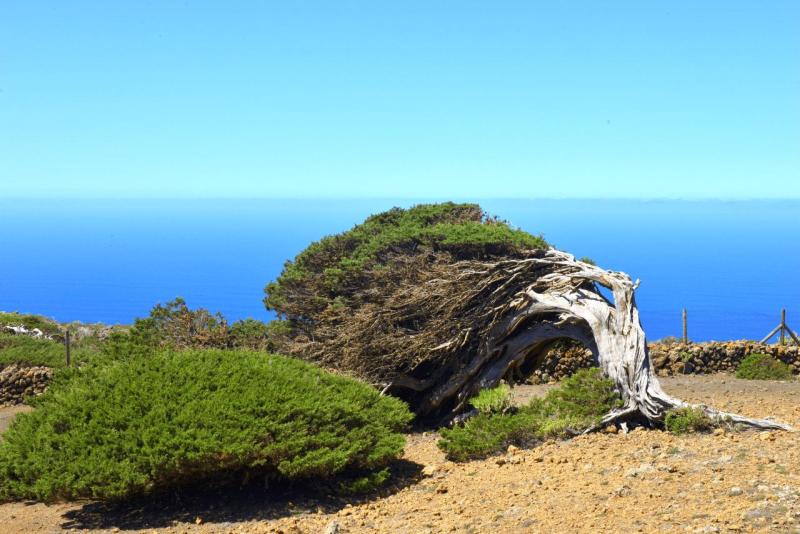 el_hiero_hike_el_sabinar_021