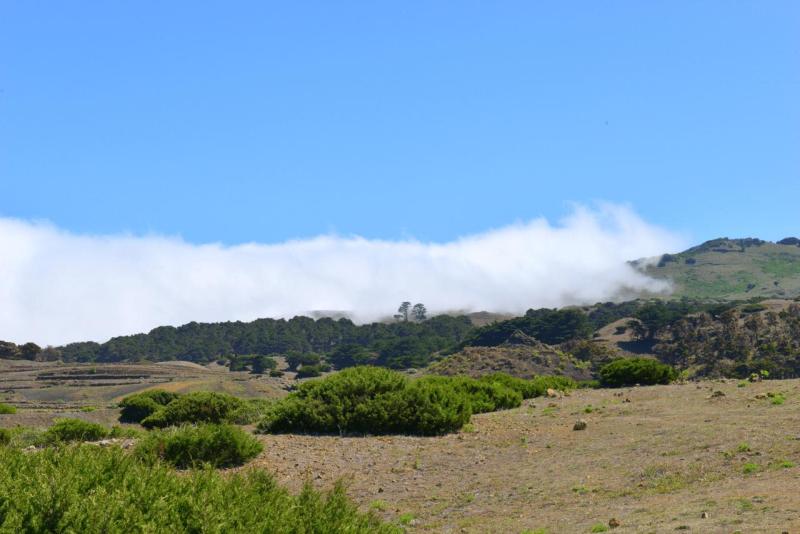 el_hiero_hike_el_sabinar_023