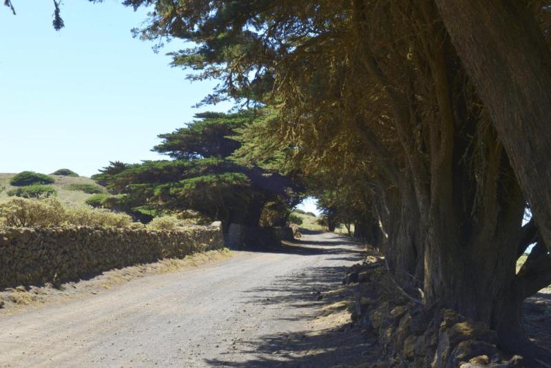el_hiero_hike_el_sabinar_024