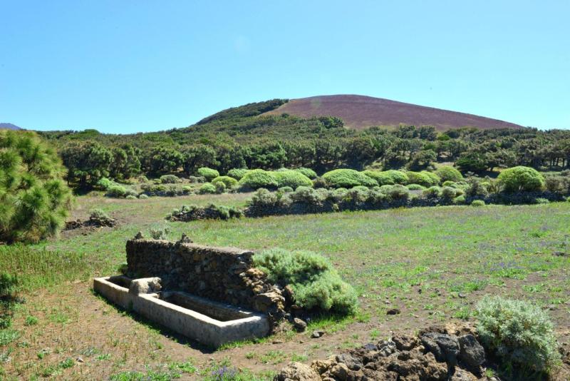 el_hiero_hike_el_sabinar_025