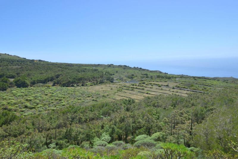 el_hiero_hike_el_sabinar_026