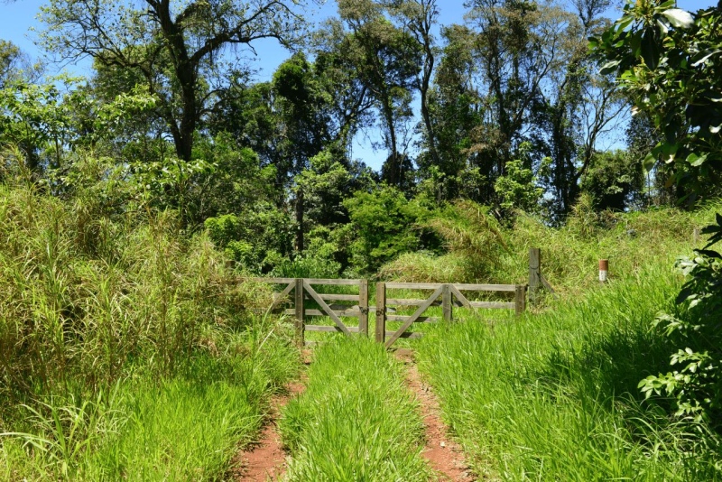 el_soberbio_mocona_panambi_002