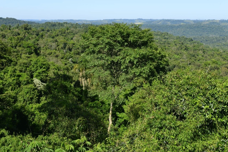 el_soberbio_mocona_panambi_012
