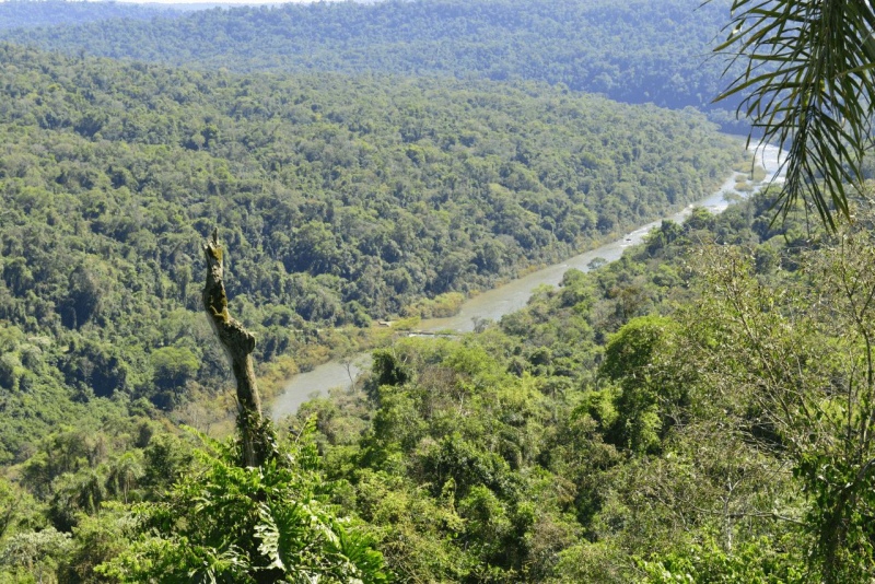 el_soberbio_mocona_panambi_016