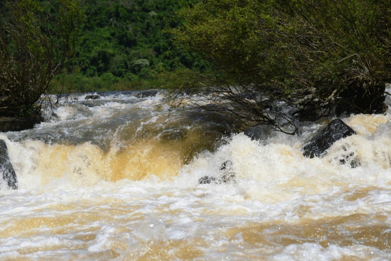 el_soberbio_mocona_panambi_044