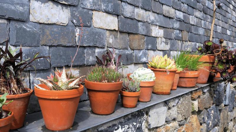 bonython_garden_004