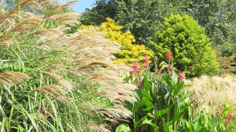 bonython_garden_012