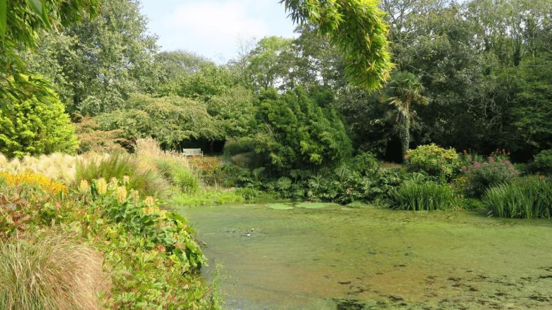 bonython_garden_013