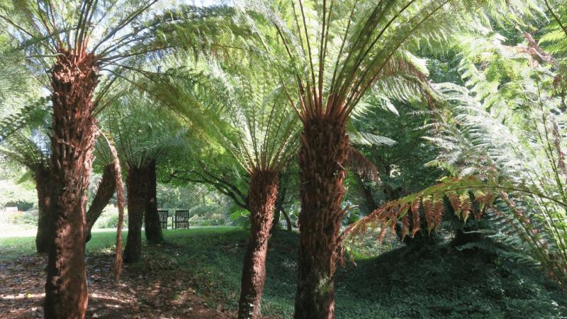 bonython_garden_015