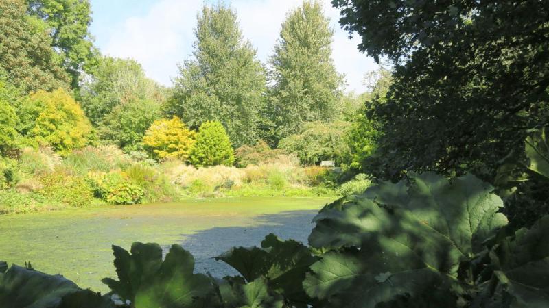 bonython_garden_016