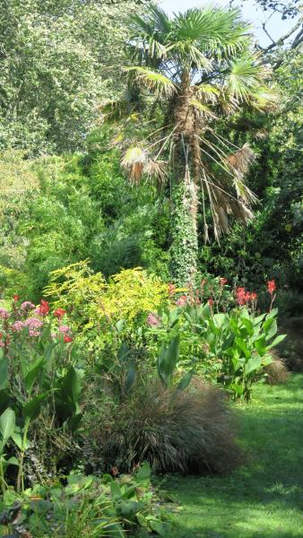 bonython_garden_017