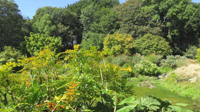 bonython_garden_018