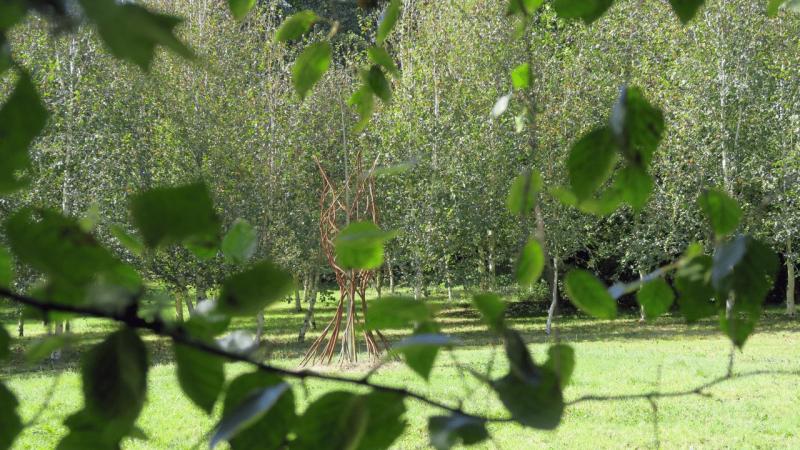 bonython_garden_022