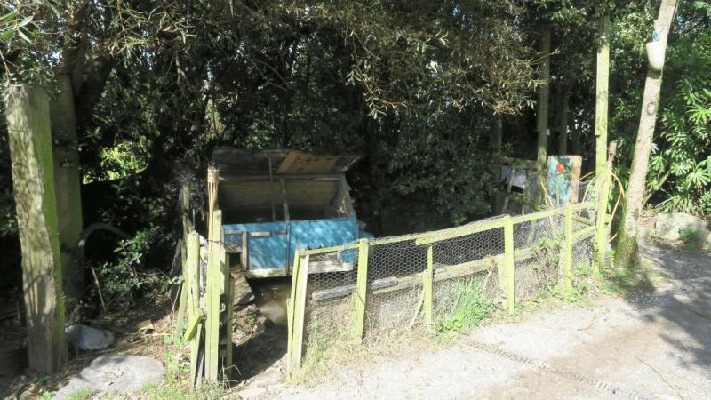 henrys_campsite_lizard_point_007