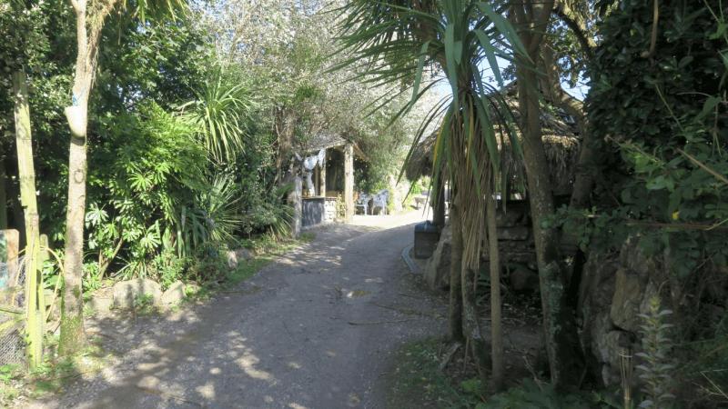 henrys_campsite_lizard_point_008