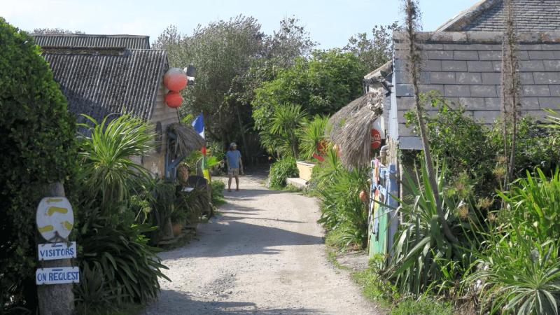 henrys_campsite_lizard_point_020