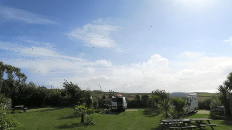 henrys_campsite_lizard_point_028