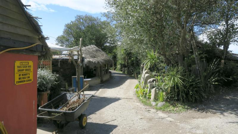 henrys_campsite_lizard_point_031
