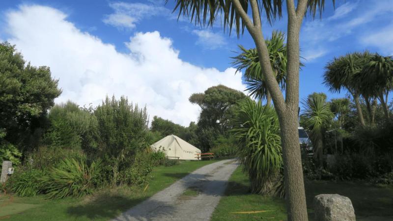 henrys_campsite_lizard_point_033