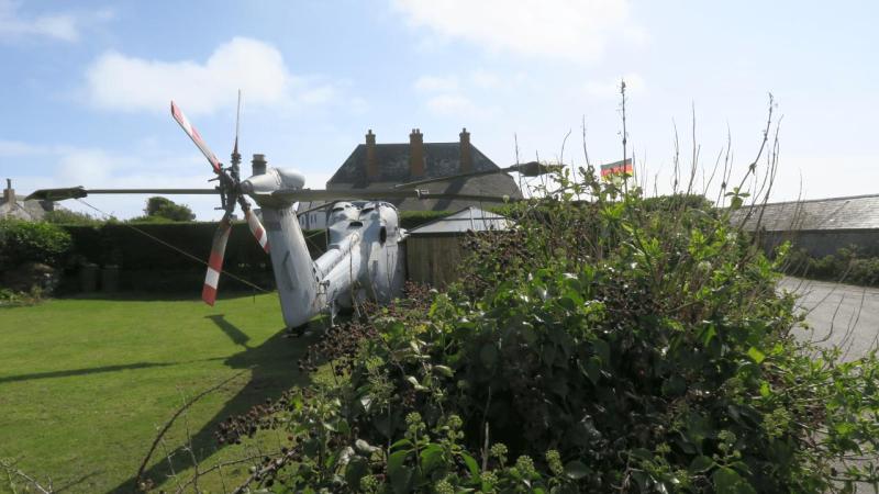 lizard_point_002
