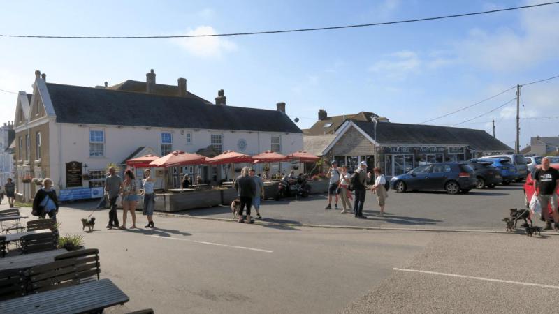 lizard_point_004