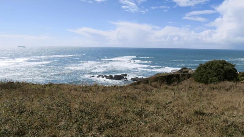 lizard_point_009