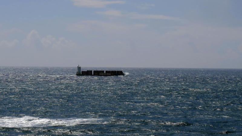lizard_point_010