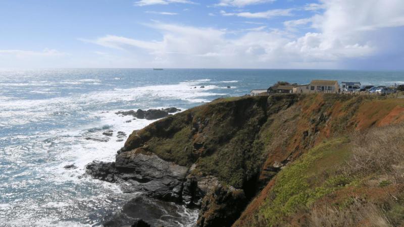 lizard_point_011