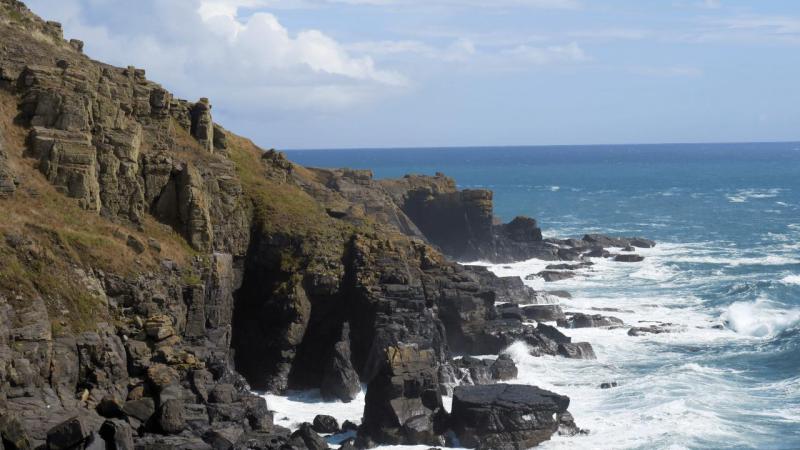 lizard_point_013