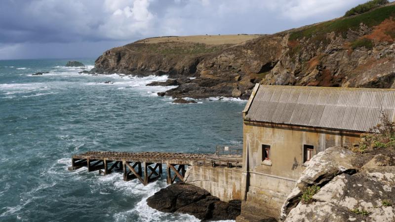 lizard_point_014