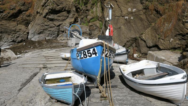 lizard_point_015