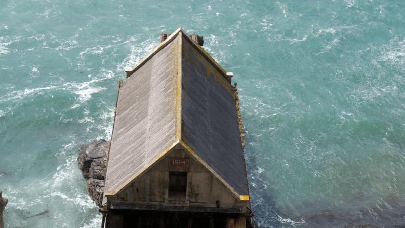 lizard_point_016