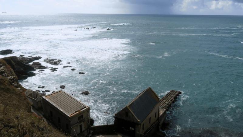 lizard_point_017