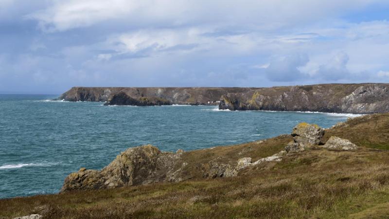 lizard_point_018