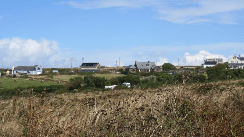 lizard_point_019