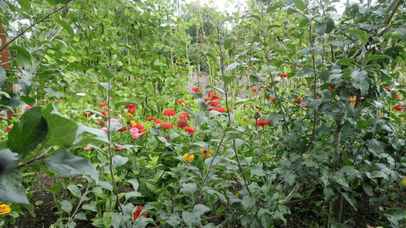 the_lost_gardens_of_heligan_002