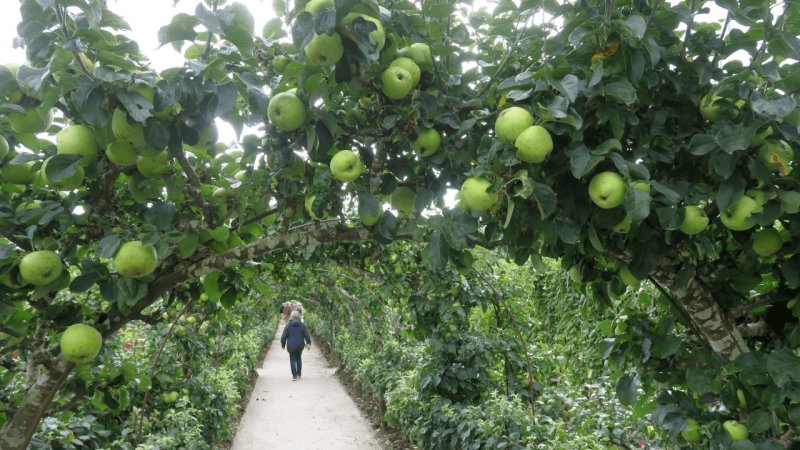 the_lost_gardens_of_heligan_003