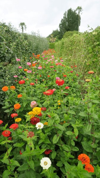 the_lost_gardens_of_heligan_004