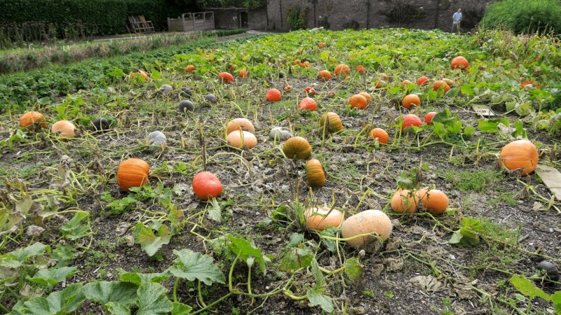 the_lost_gardens_of_heligan_005