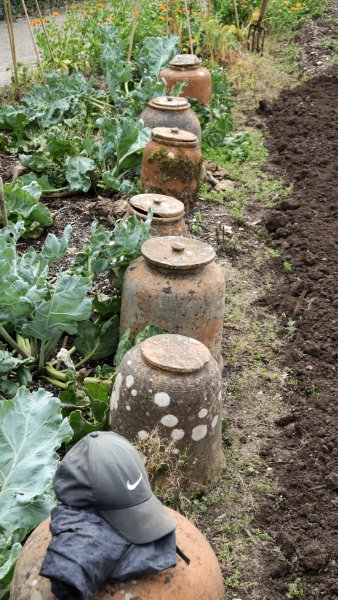 the_lost_gardens_of_heligan_007
