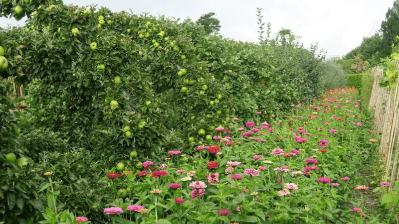 the_lost_gardens_of_heligan_009