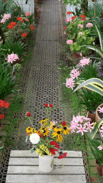 the_lost_gardens_of_heligan_013