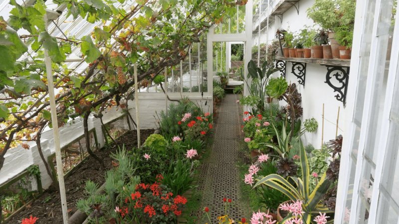 the_lost_gardens_of_heligan_014