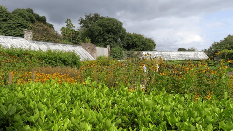 the_lost_gardens_of_heligan_017