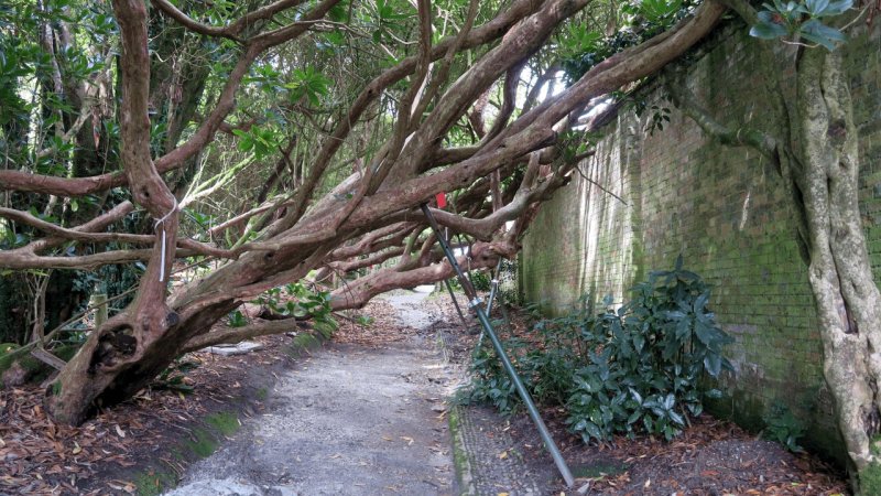 the_lost_gardens_of_heligan_020